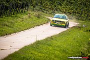 15.-adac-msc-rallye-alzey-2017-rallyelive.com-8489.jpg